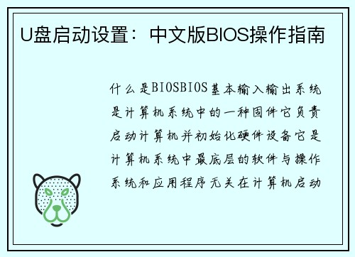 U盘启动设置:中文版BIOS操作指南